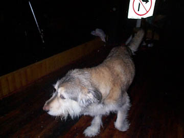 Bogie does the soft shoe to close the night...